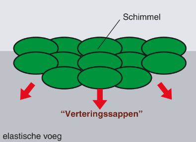 Secundaire_schimmel_aantasting